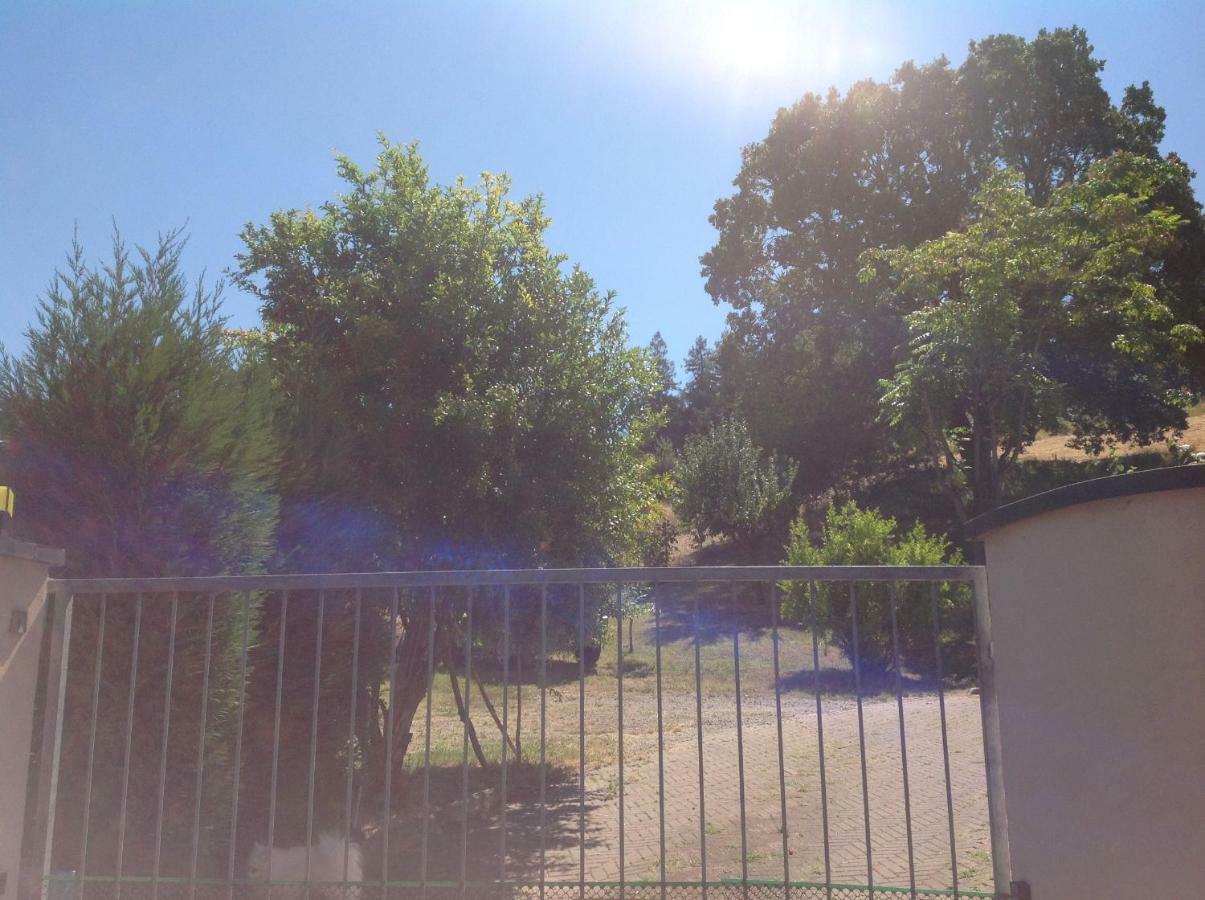 B&B Smile Fiorano Modenese Zewnętrze zdjęcie